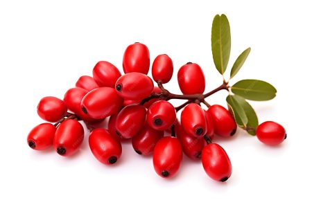 Барбарис на белом фоне