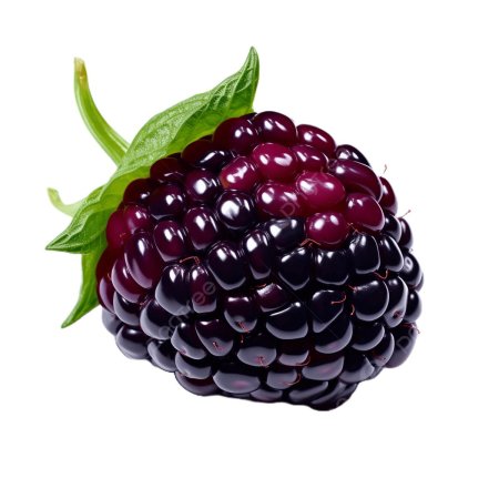 Ежевика мультяшная