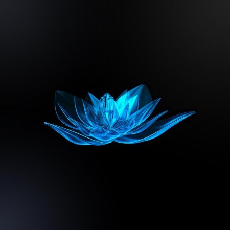 Синие цветы