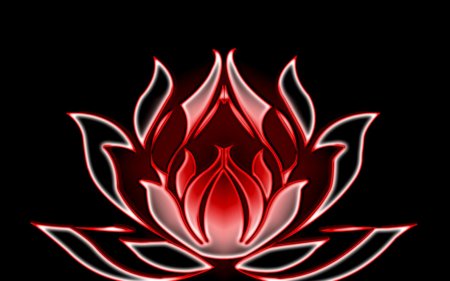 Красный четырехлепестковый Лотос