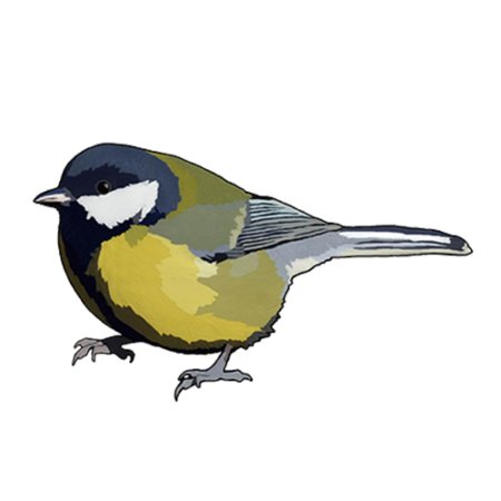 Синица рисунок