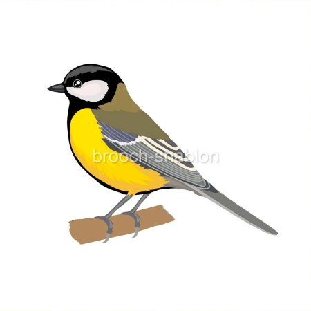 Синица вектор