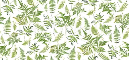 Папоротник фон