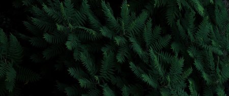 Обои Эстетика