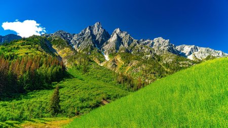 Горы картинки