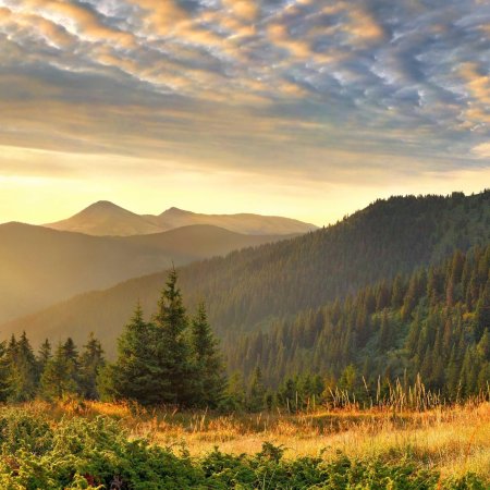 Карпаты фон