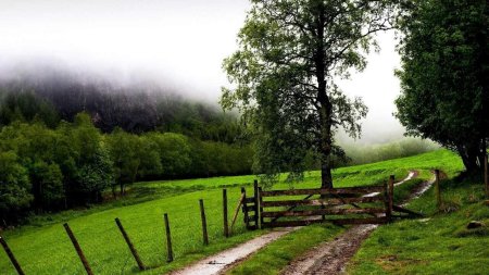 Пушгоры природа