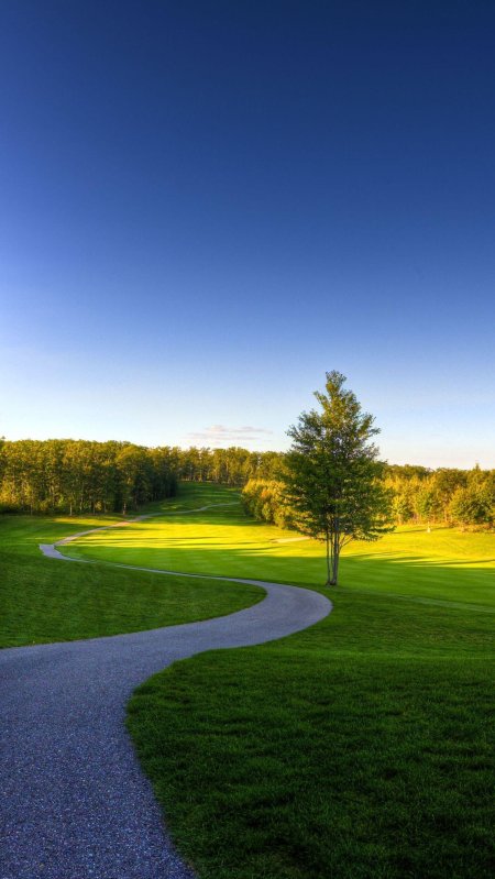 Фон природа