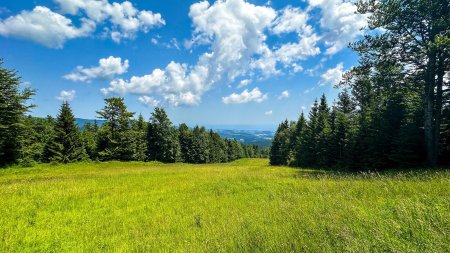 Картинки на рабочий стол природа