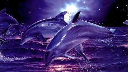 Адриан Честерман дельфины