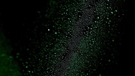 Зеленый блик