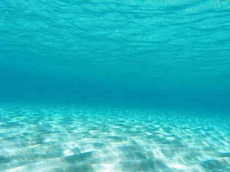 В толще воды