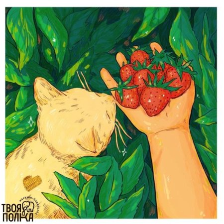 Клубничный котик