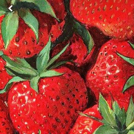 Натюрморт клубника