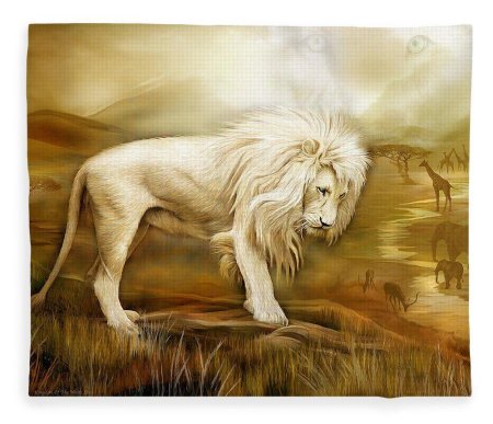 Кэрол Каваларис (Carol Cavalaris)