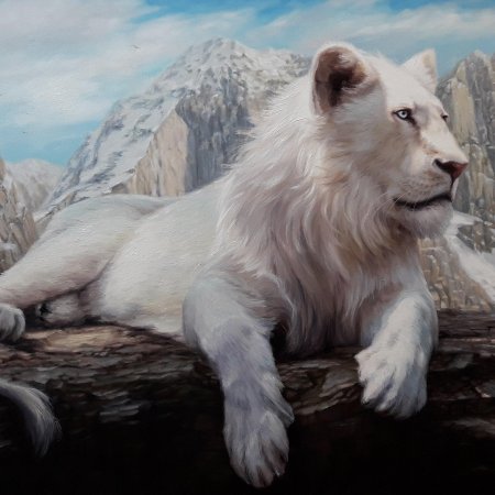 Белый лев альбинос