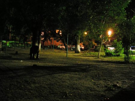 Вечер улицы дворы