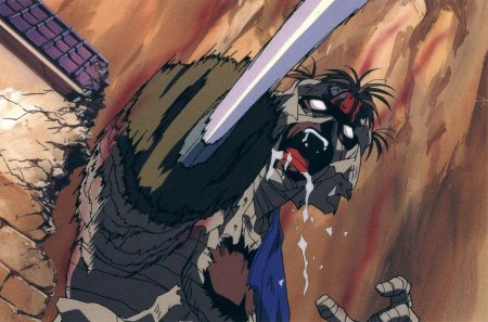 Бродяга Кэнсин Шишио