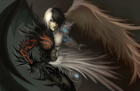 Полуангел полудемон Нефилим аниме