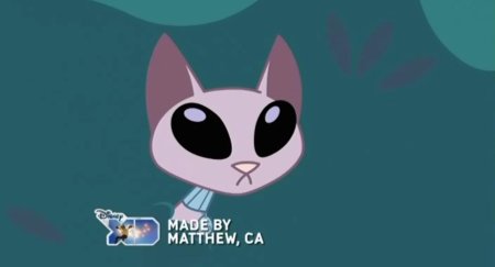 КИД виси Кэт кот