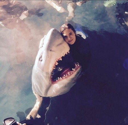 Синяя бездна Клэр Холт