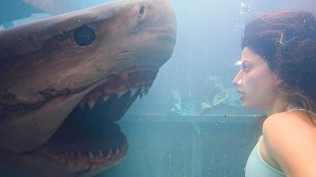 Глубокое синее море фильм 1999 акула