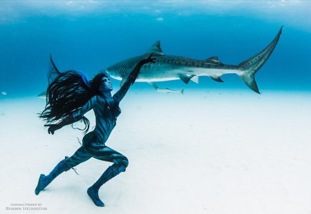 Ханна Фрейзер с тигровыми акулами