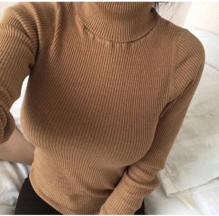 Водолазка Эстетика