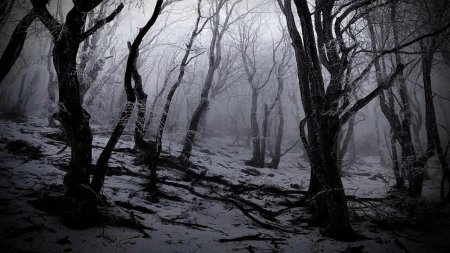 Страшный лес