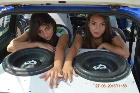 Митичкина альфард