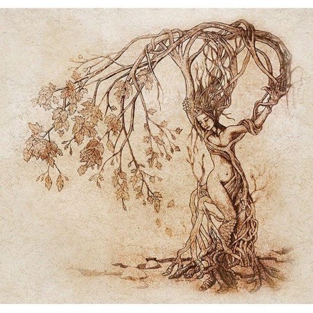 Дриада дерево