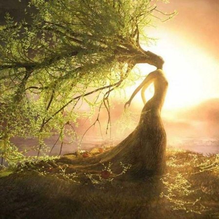 Девушка дерево