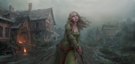 Ведьмак травница арт