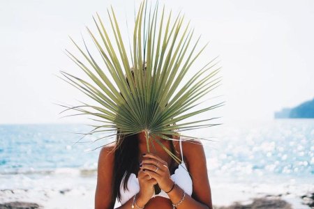 Девушка на Пальме