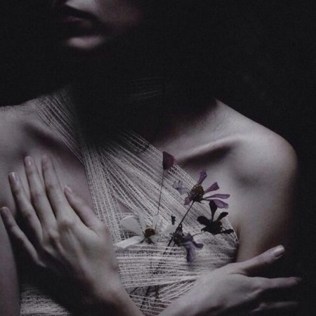 Эстетика чувств