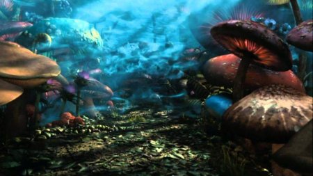 Мир Алисы в стране чудес