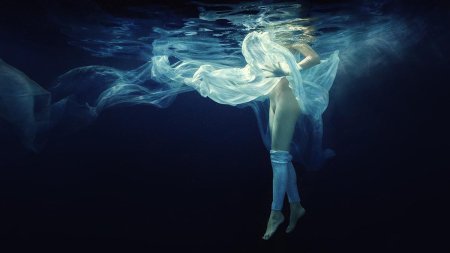 Дмитрий Лаудин подводные феи