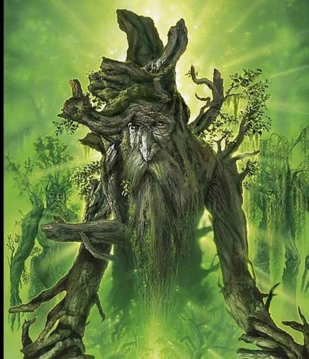 Фангорн Древень