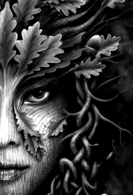 Лесные существа мифология кельтов