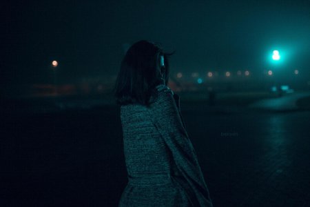 Девушка и ночь