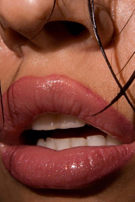 Красивые губки