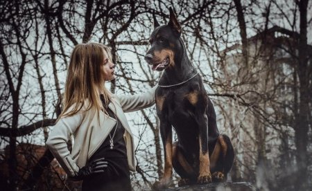 Дама с доберманом Синди Кроуфорд