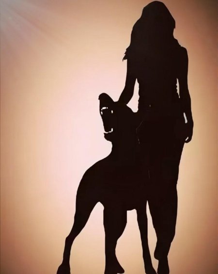 Девушка с собакой силуэт
