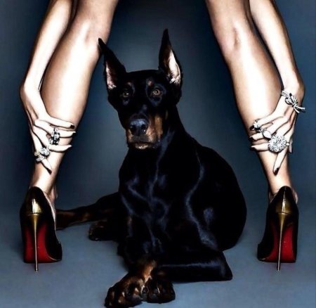 Ирина Шейк с доберманом