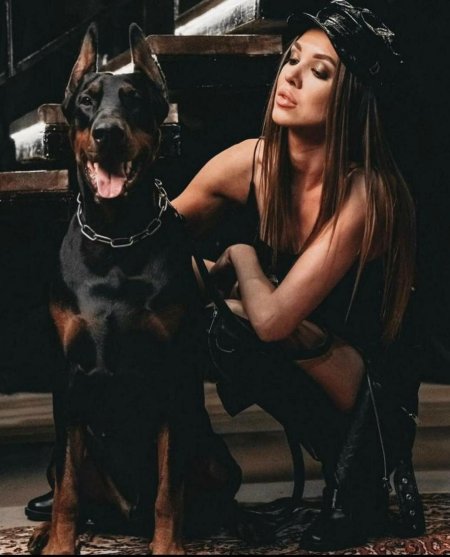 Фотосессия с доберманом Барнаул