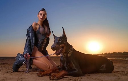 Боди и Доберман