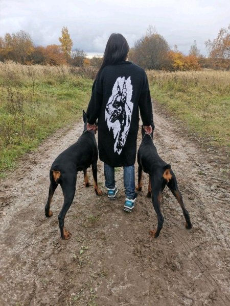 Фелис фавн с доберманом