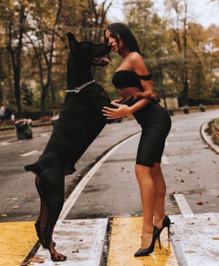 Дина Исаева с доберманом