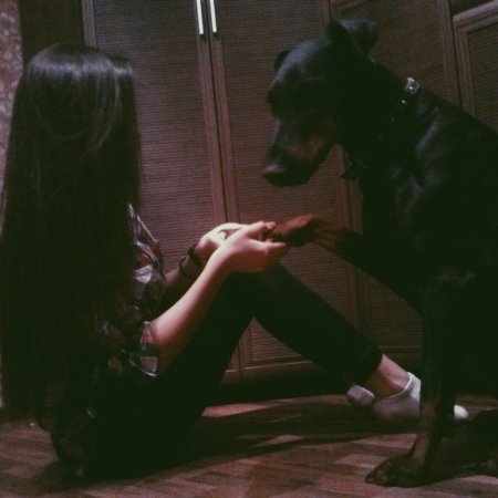 Девушка с доберманом без лица