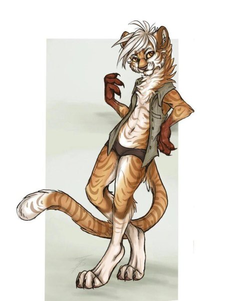 Фурри тигрица